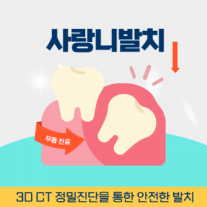 신논현역사랑니발치