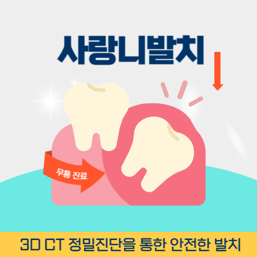 신논현역사랑니발치